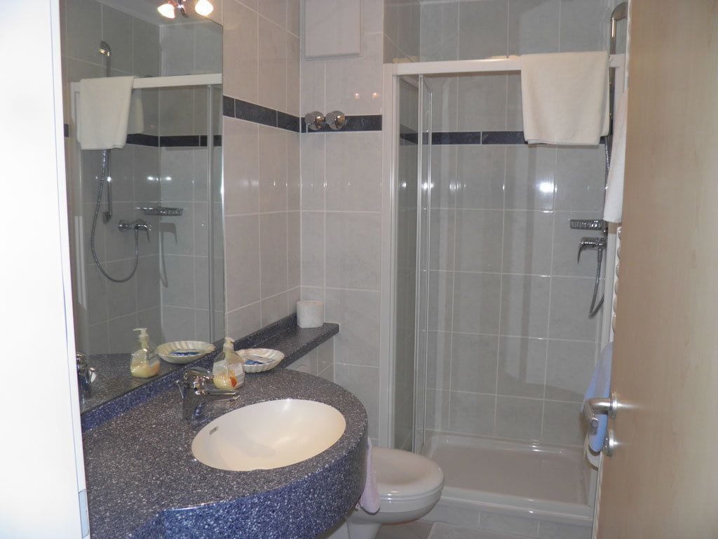 shower, hair dryer, towels, toilet paper