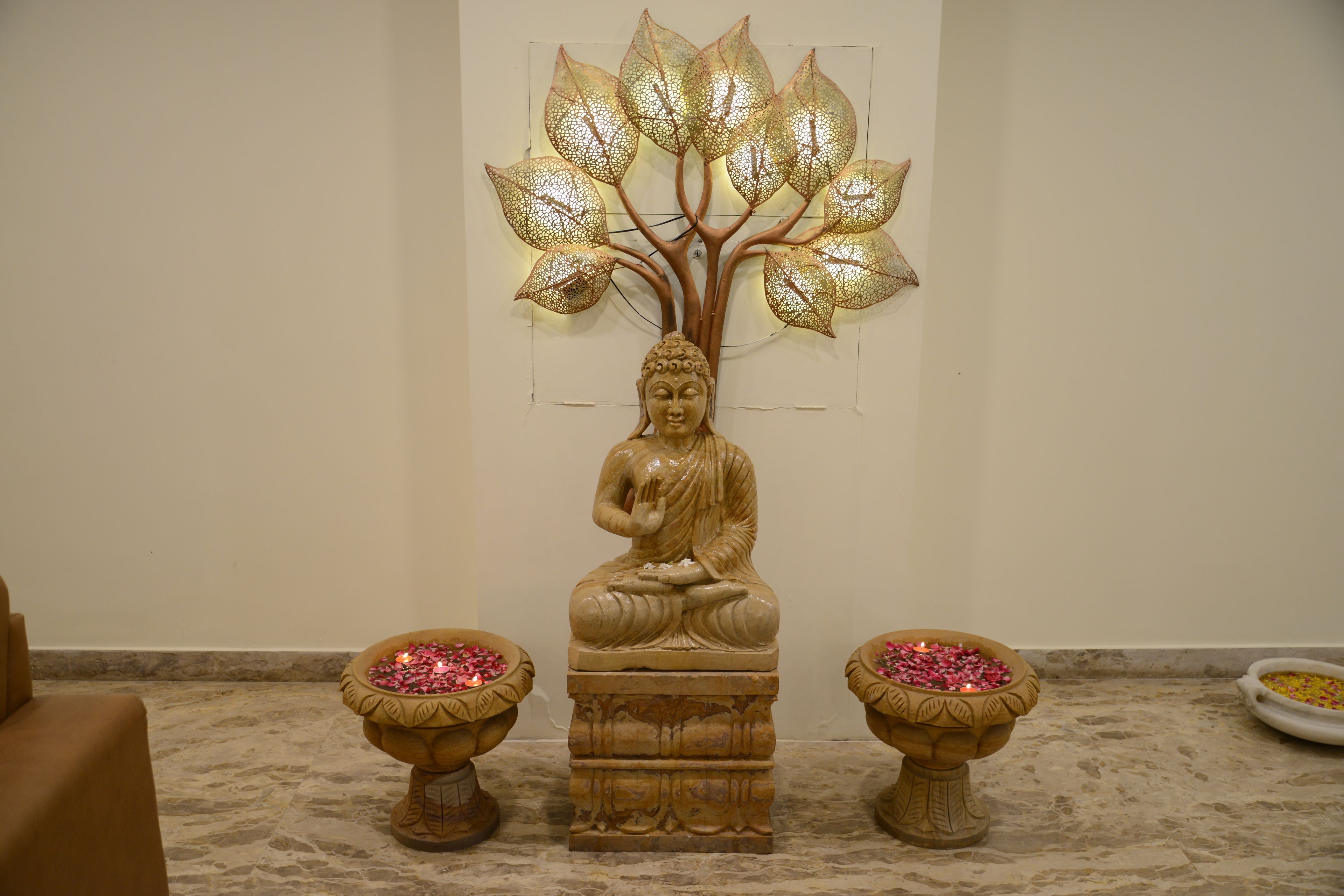 Foto - Hotel Sanobar