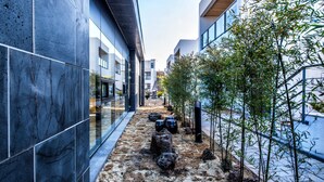 Un edificio moderno con fachada de vidrio, un camino de piedras y plantas, y una hilera de árboles de bambú.