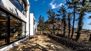 Un edificio moderno con grandes ventanales de vidrio, un camino de piedra y árboles circundantes.