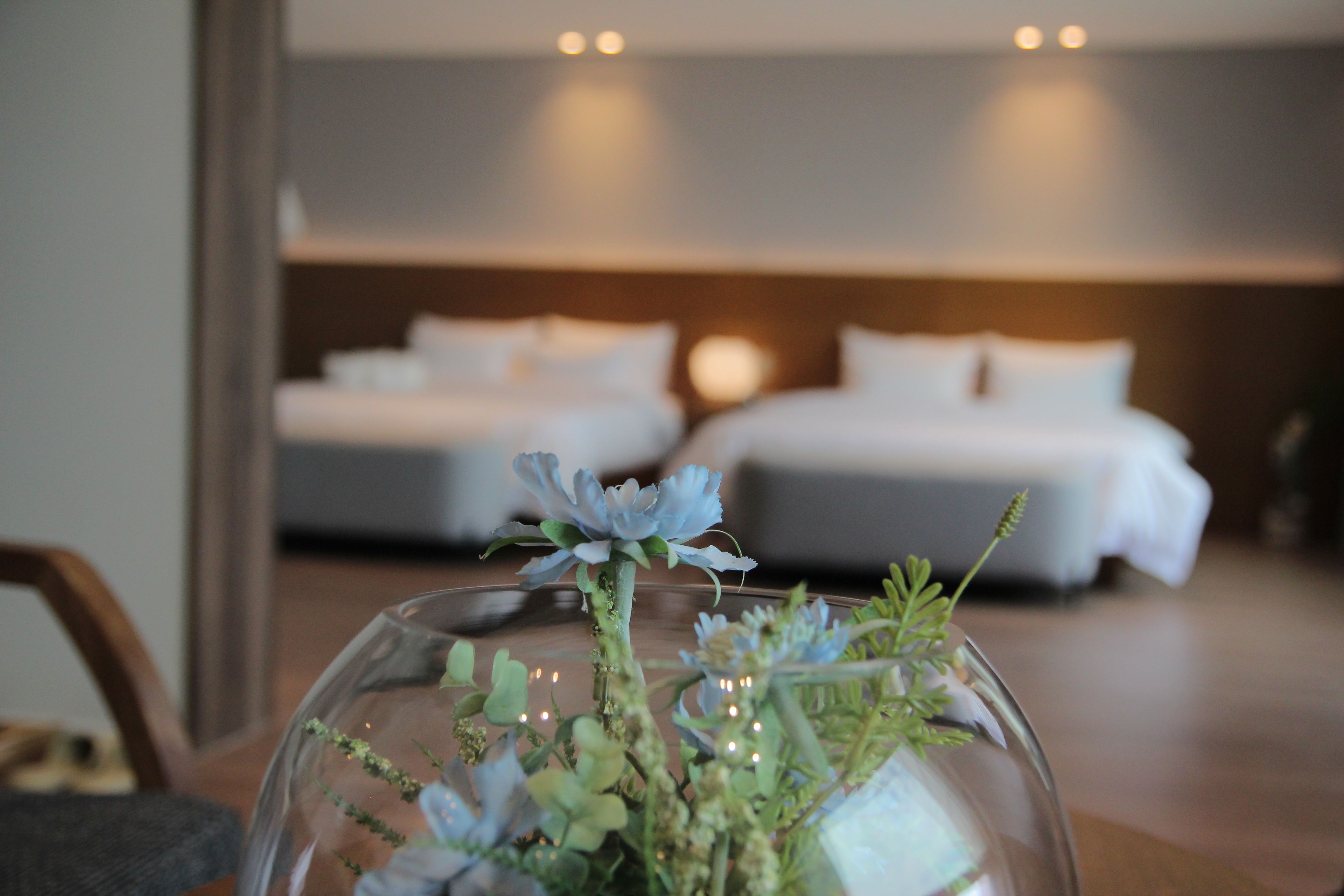 Ort Suite | Truy cập Internet không dây miễn phí, bộ trải giường 