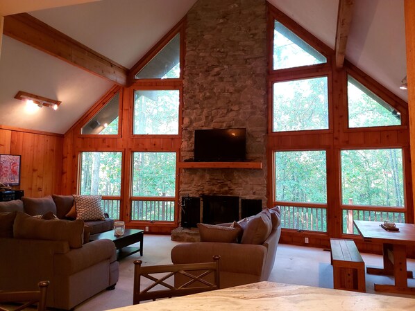 Smart TV, fireplace, DVD player, stereo