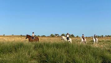 A group of people riding horses in a grassy field with trees in the background.