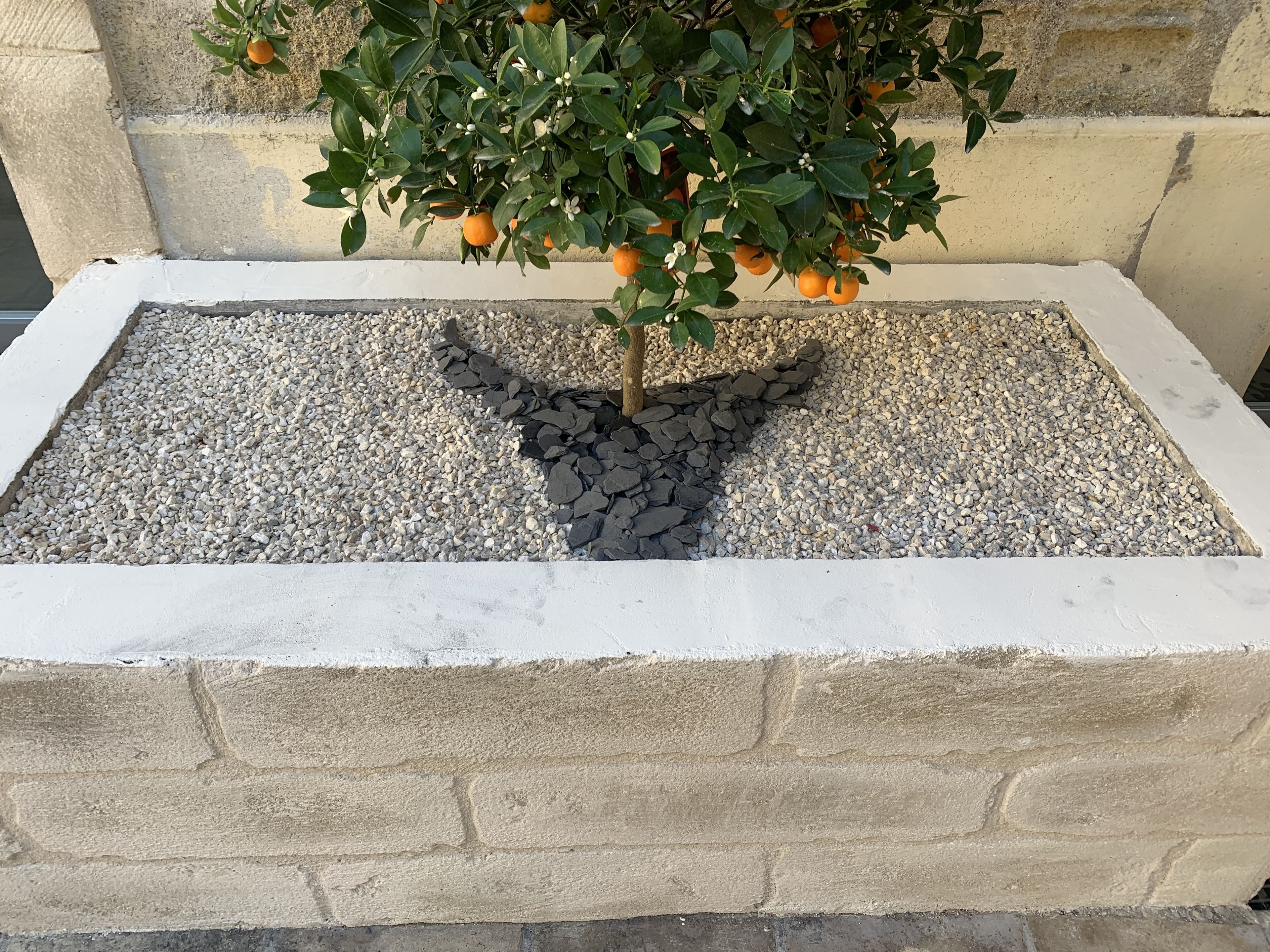 A rectangular planter with a tree and pebbles.