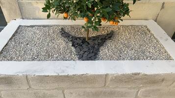 A rectangular planter with a tree and pebbles.