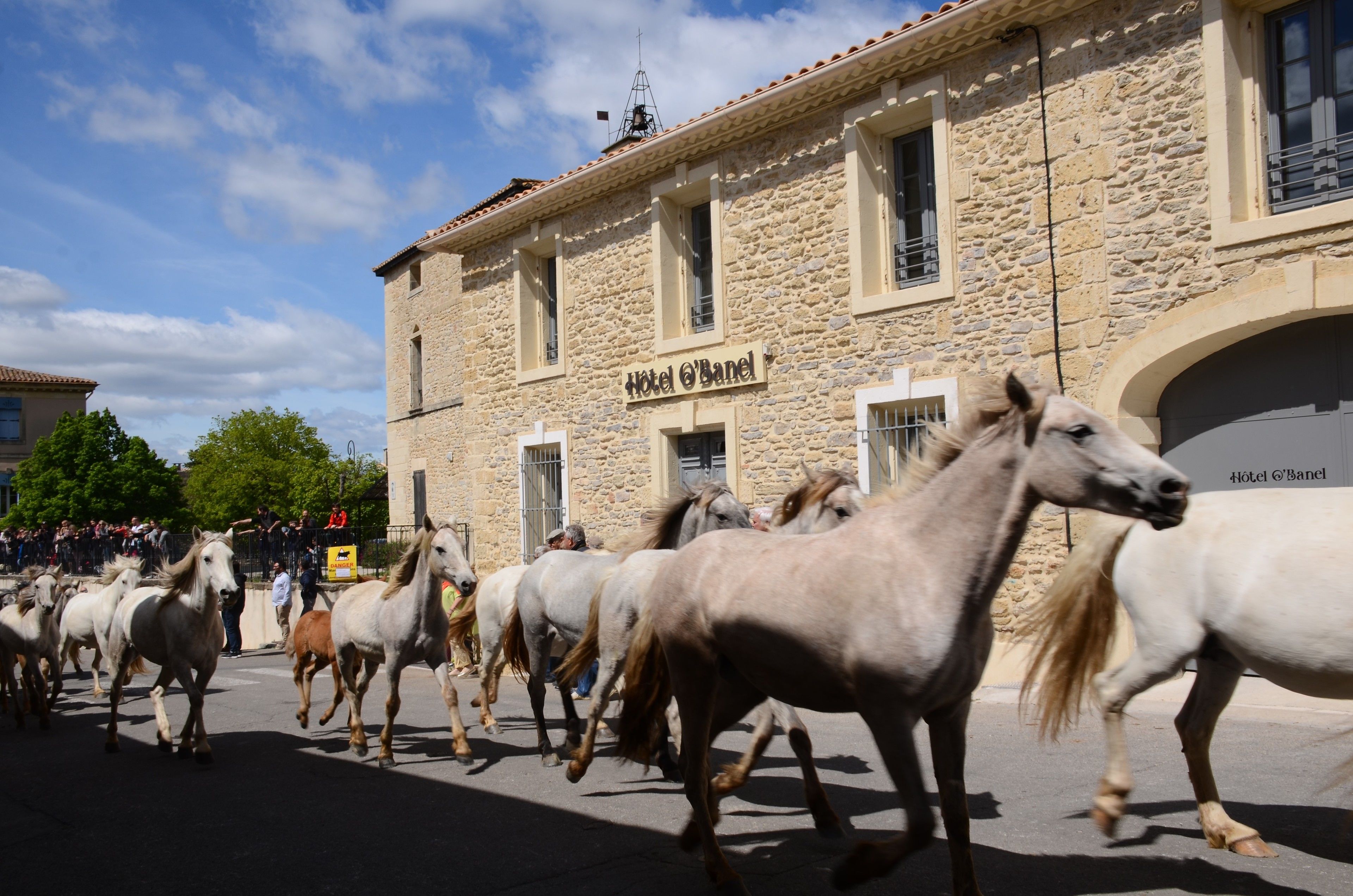 A stone building with a sign reading "Hotel O'Banel" and a crowd of horses in the foreground.