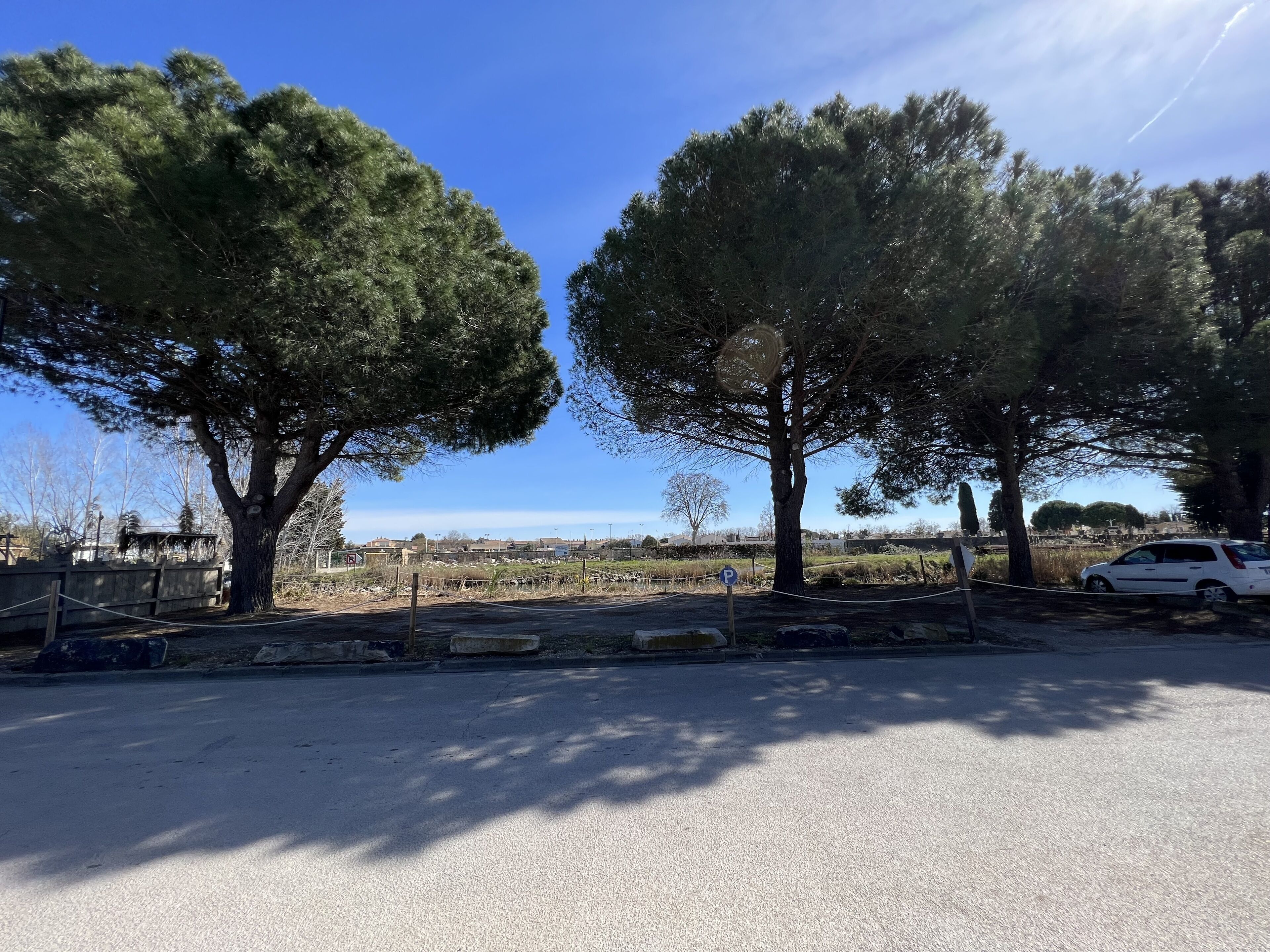 A parking area with trees and a white car parked.