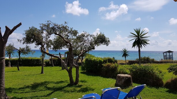 A view of a beachside area with blue lounge chairs, a gazebo, and a palm tree. - Corfu Island Apartment 58 (Corfu)