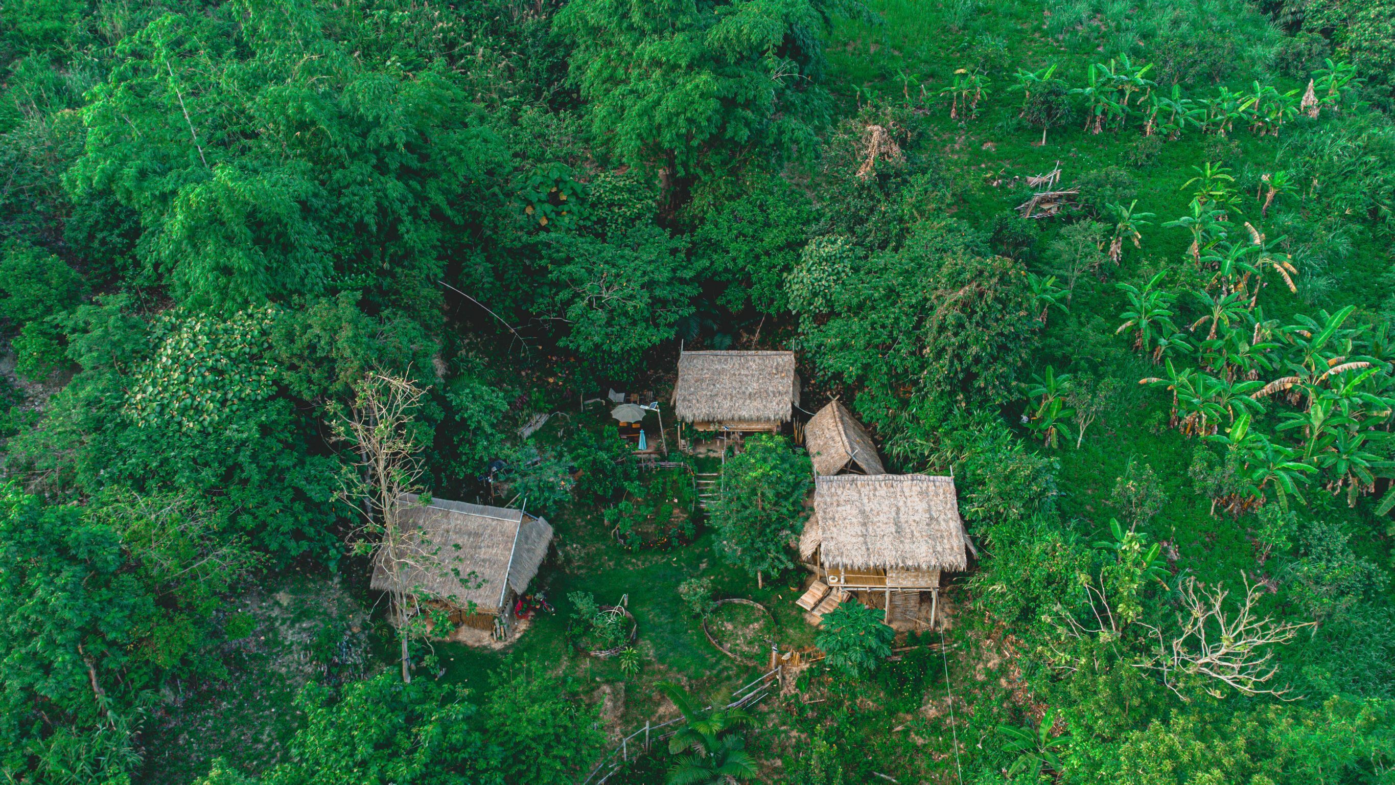 A cluster of thatched-roof huts surrounded by dense green vegetation.