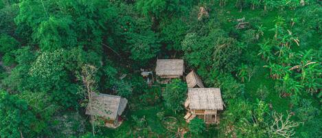 A cluster of thatched-roof huts surrounded by dense green vegetation.