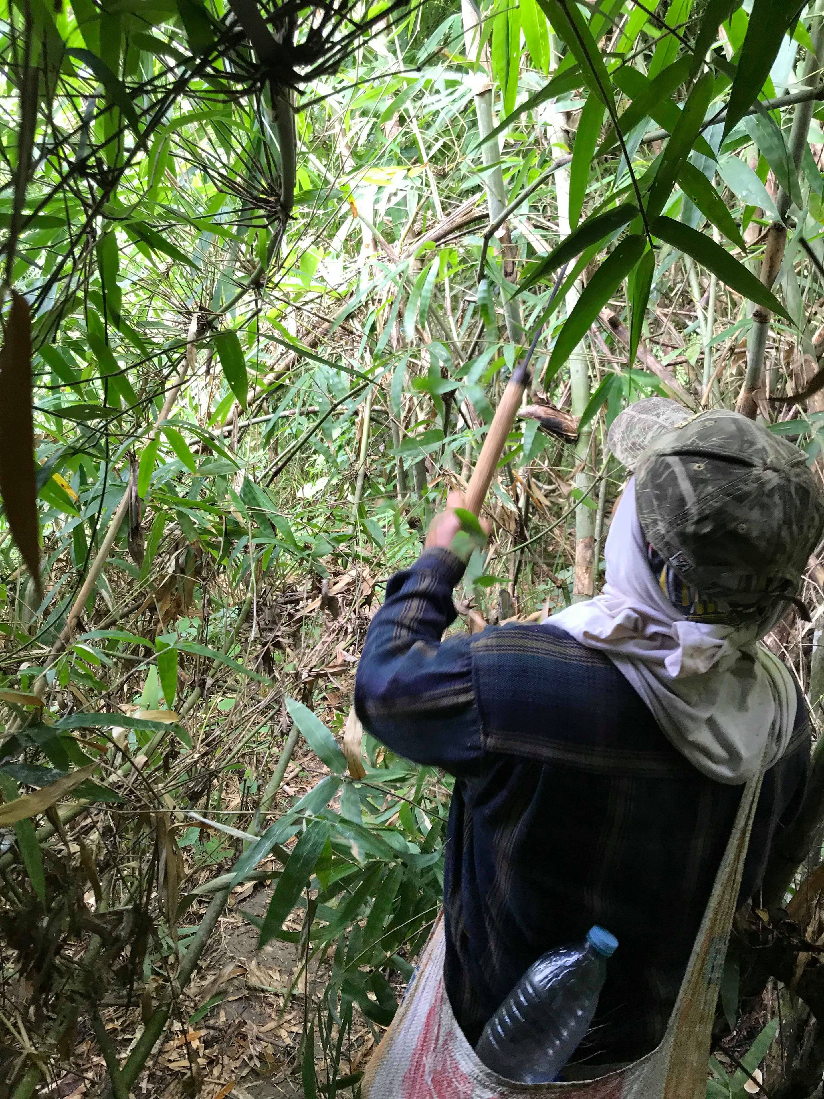 A person in a forested area, wearing a hat and carrying a bag.