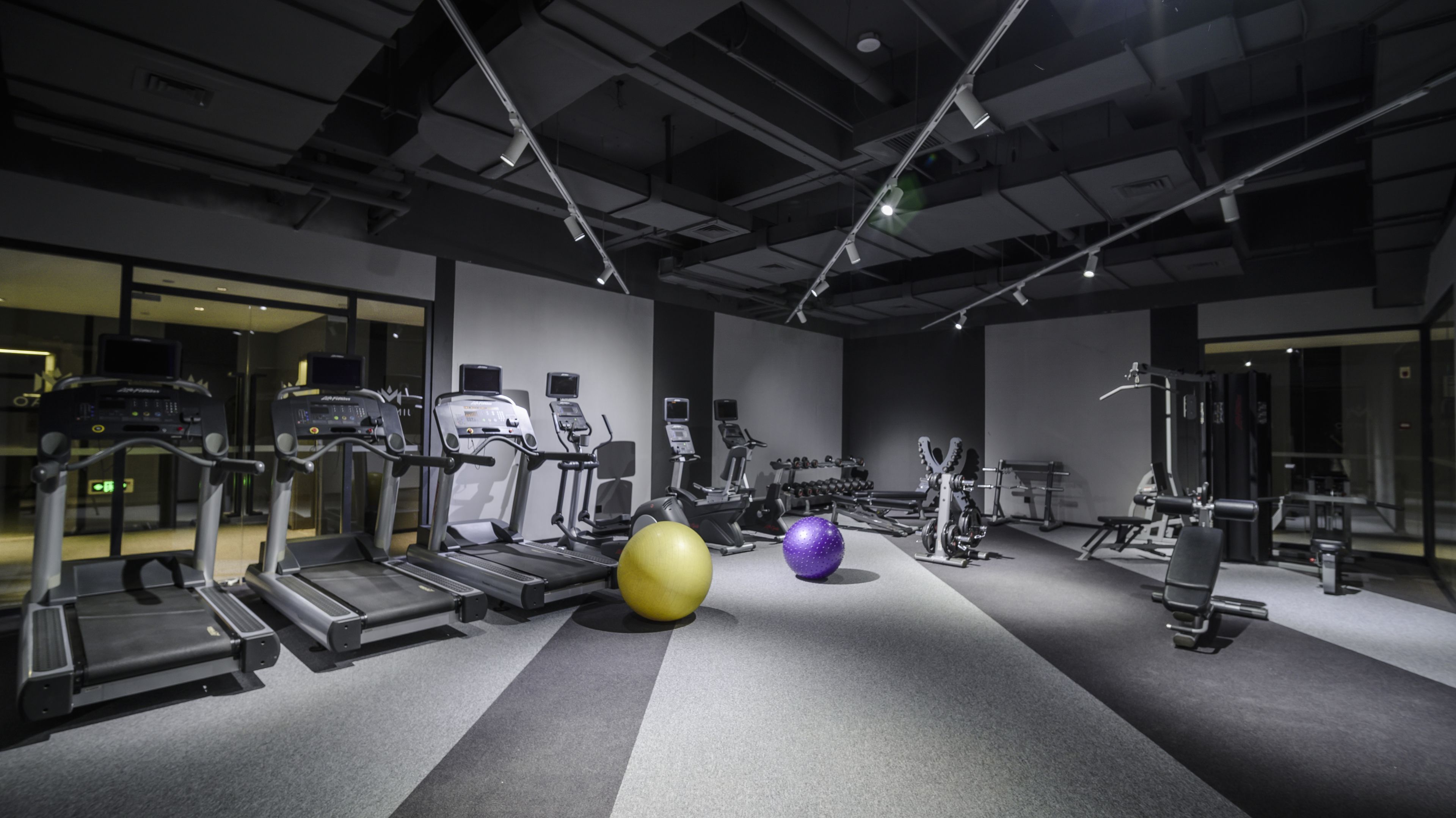 Een fitnessruimte met loopbanden, elliptische trainers en gewichten.