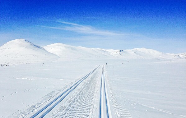 Snow and ski sports