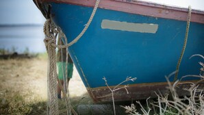 Un bateau est amarré à un quai à l’aide d’une corde, entouré d’herbe et avec une étendue d’eau en arrière-plan.