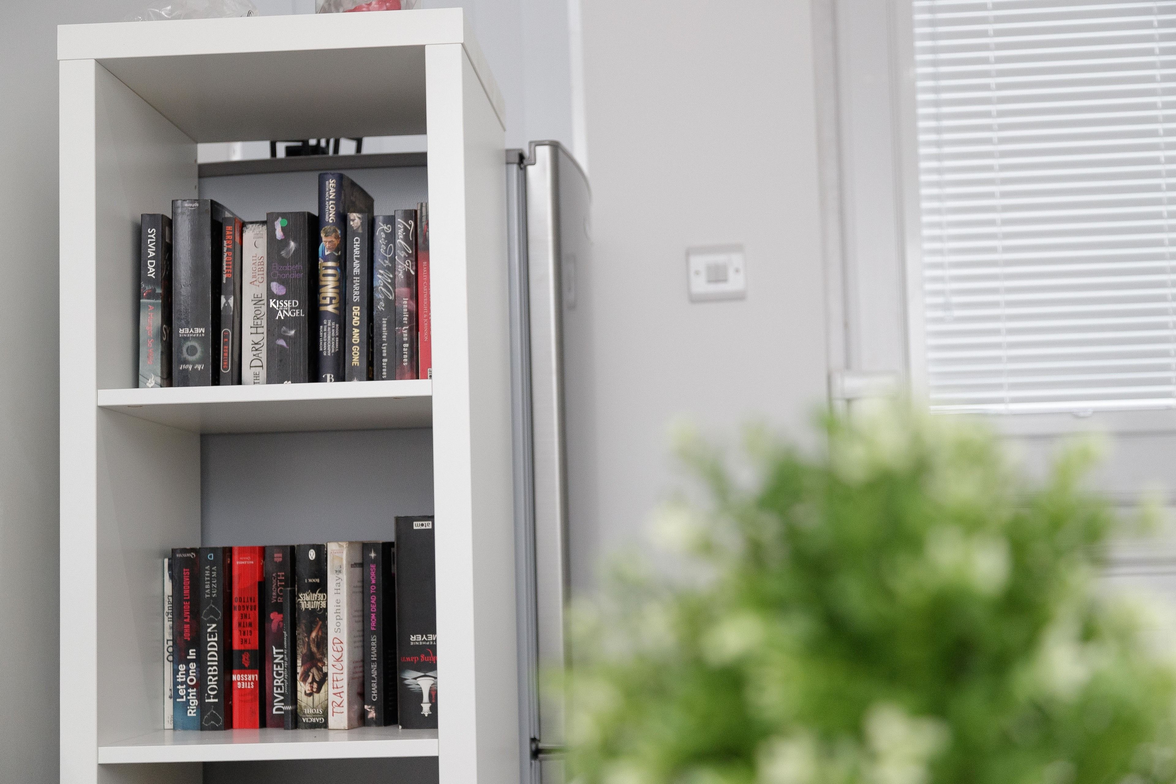 A bookshelf with various books, a white wall, and a window with blinds.