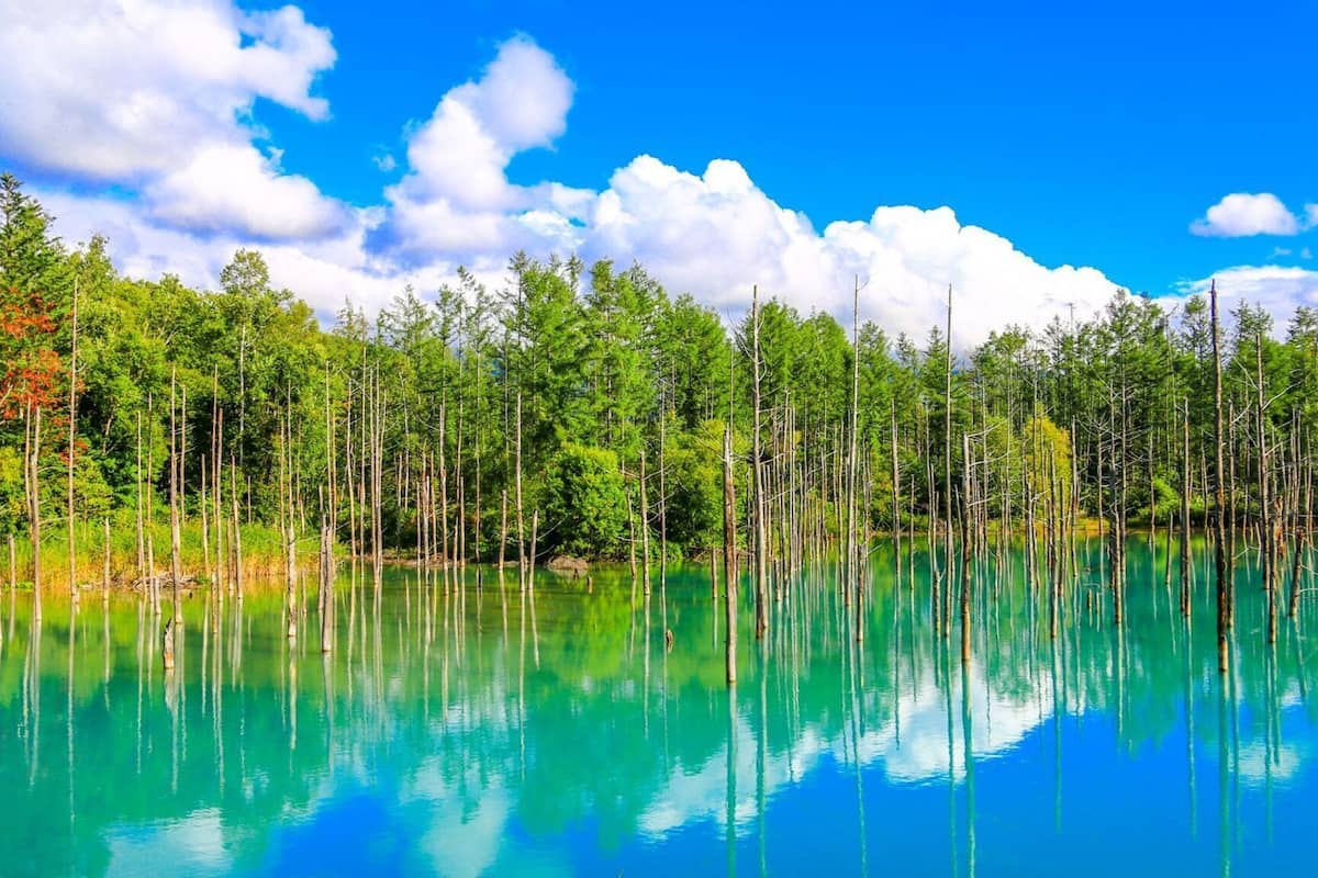 2 phòng ngủ, trang trí khác biệt