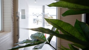 A hallway with a plant in the foreground and a door with a white frame and a window in the background. - The Peak Villa Suite Hokkaido (Higashikawa)
