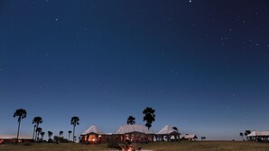 A series of tents with a fire in the foreground, surrounded by palm trees under a starry night sky. - San Camp (Central Kalahari Game Reserve)