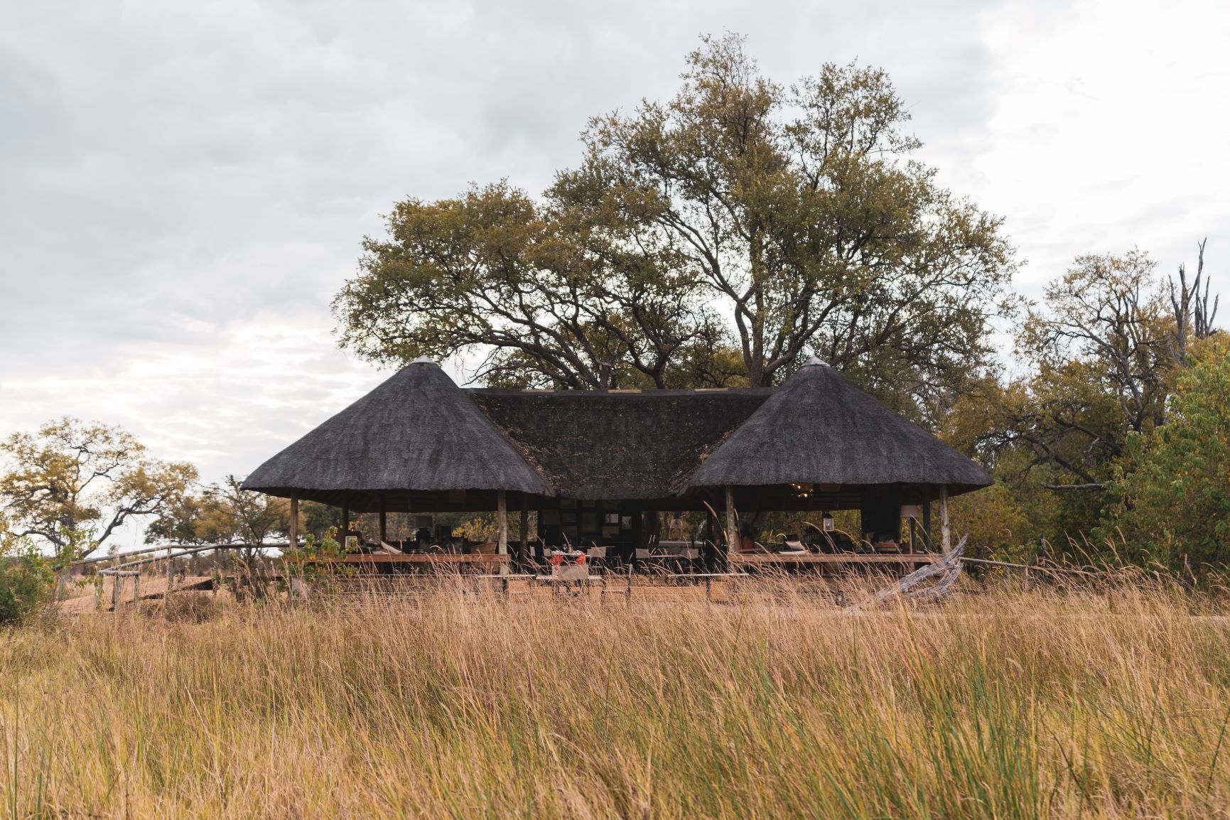 A thatched-roof structure with seating, surrounded by tall grass and trees.