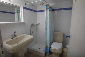 A bathroom with a sink, toilet, shower, and a mirror.