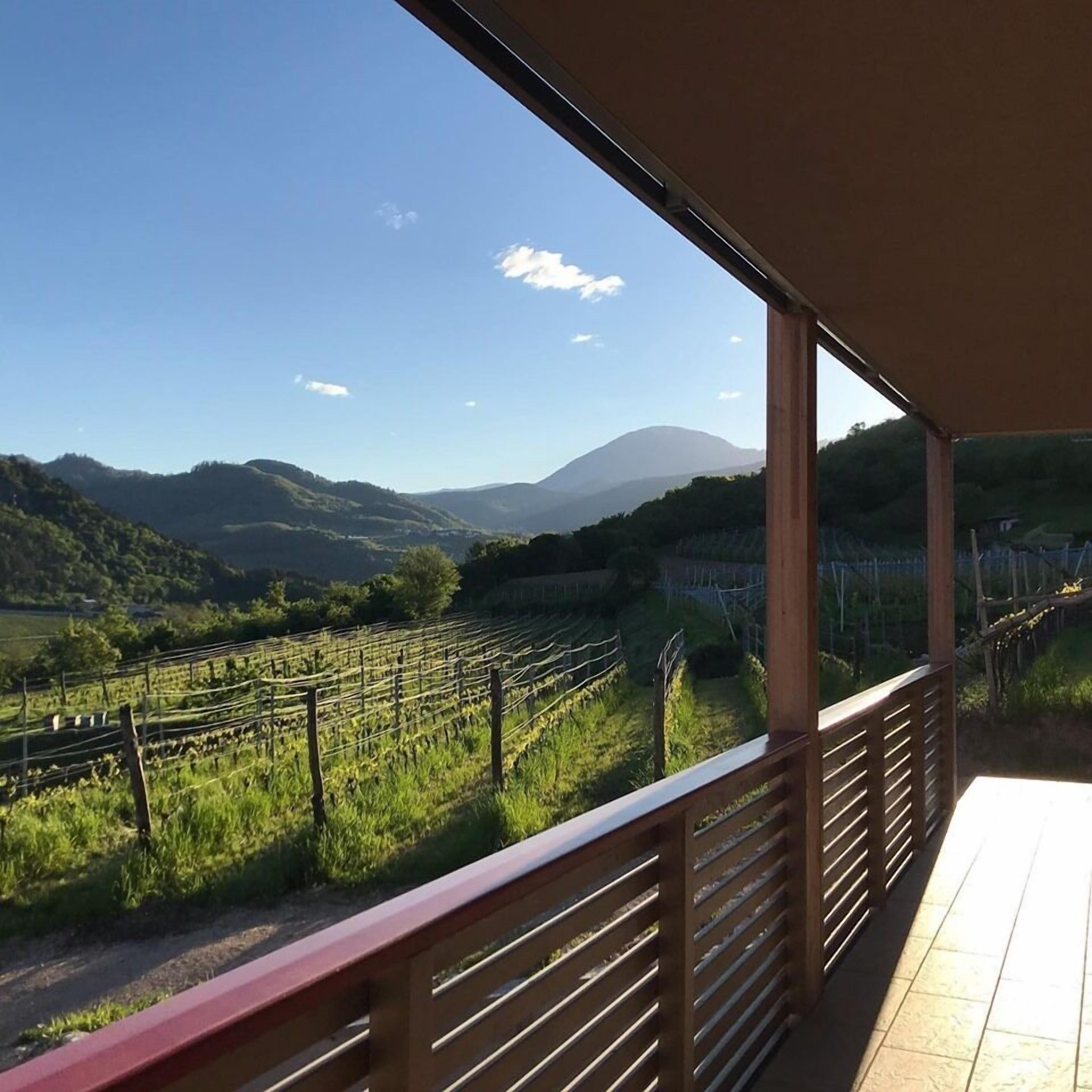 Foto - Agritur Verderame