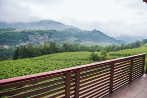 Mountain view - Agritur Verderame (Trento)
