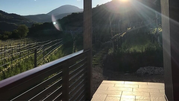 A balcony with a view of a vineyard and a mountain in the distance. - Agritur Verderame (Trento)