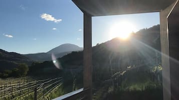 Uitzicht vanuit accommodatie