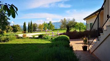 Khuôn viên nơi lưu trú