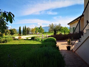 Property grounds - Agriturismo di charme Erbadoro (Alvito)