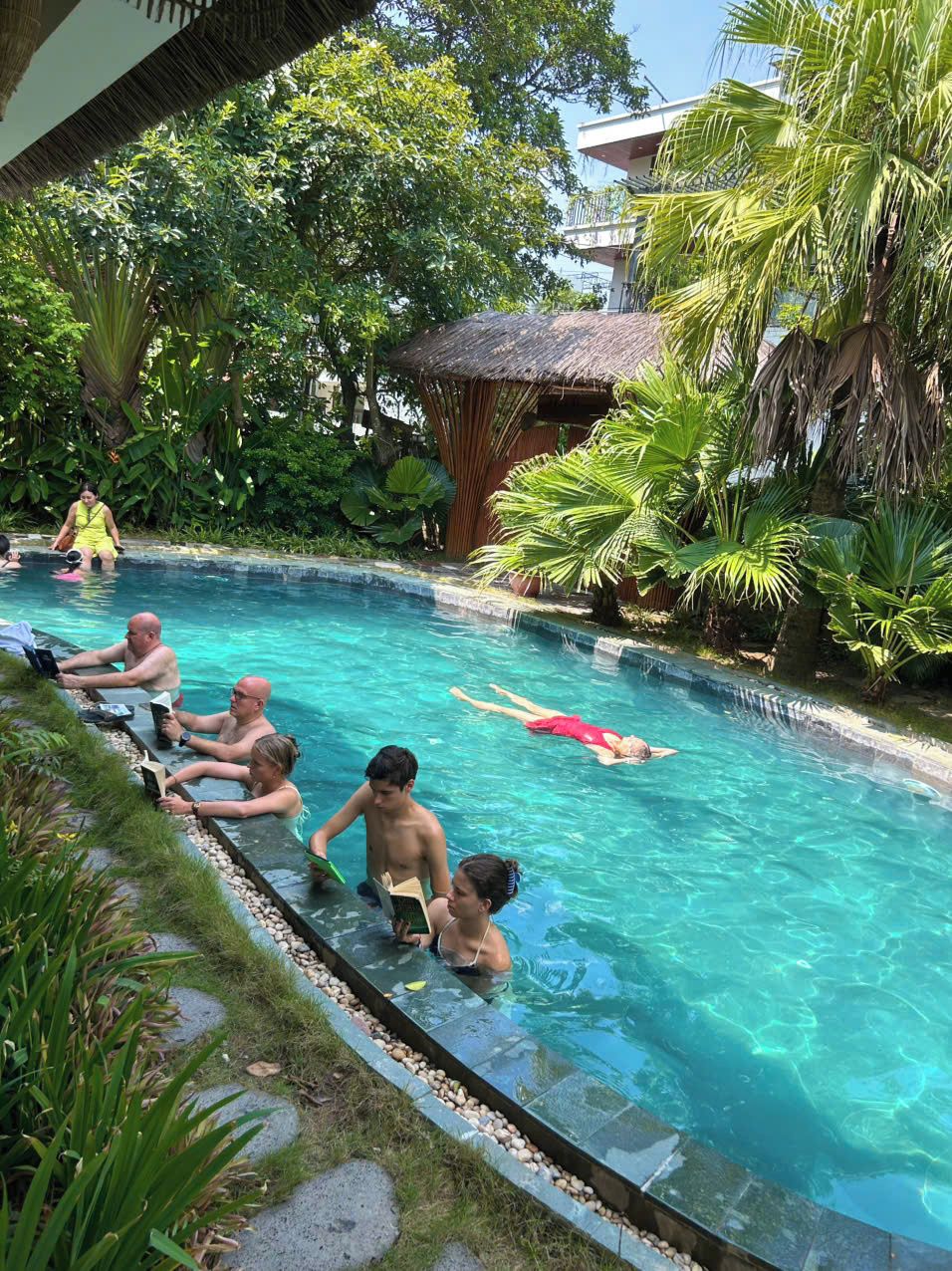 A swimming pool surrounded by lush greenery and a thatched-roof structure.