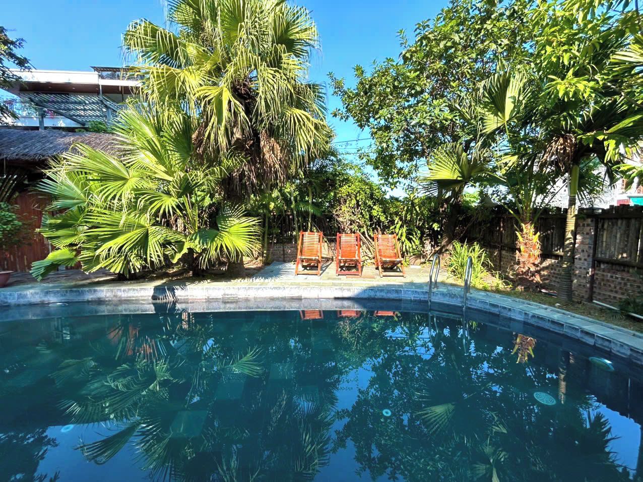 A swimming pool with a clear blue water surface, surrounded by lush greenery and a wooden fence.