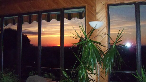A room with large windows, a wooden ceiling, and a potted plant. - Chambre D'hote et Gite Le Parc (Revel)