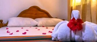 烏達瓦拉維狂野樹蔭野生動物園旅館