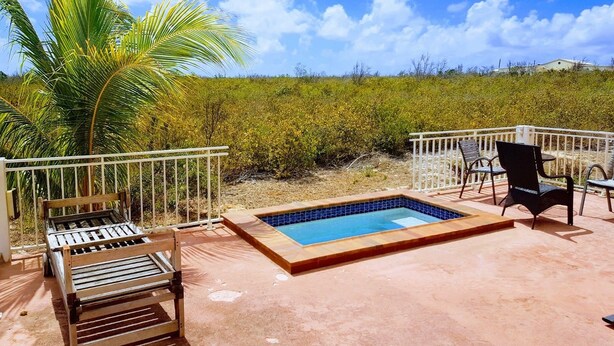 Un área de piscina con jacuzzi, sillas de descanso y una palmera.