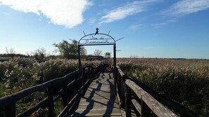 Oklassificerad bild, 4 av 5, knapp