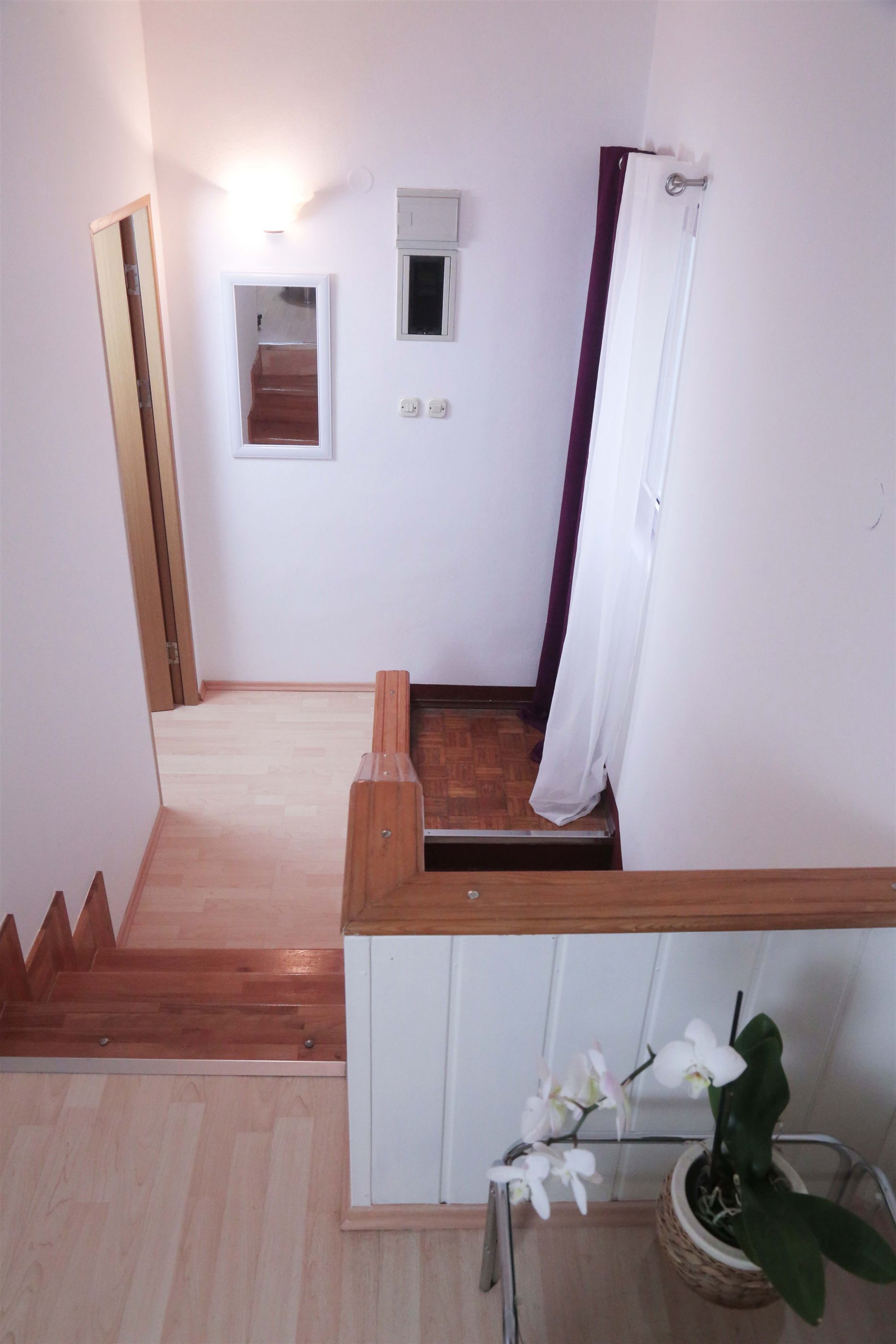 A staircase with wooden steps leading to a landing, a white door, a small window, and a potted orchid plant.