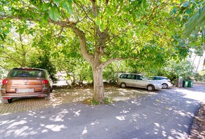 Free self-parking