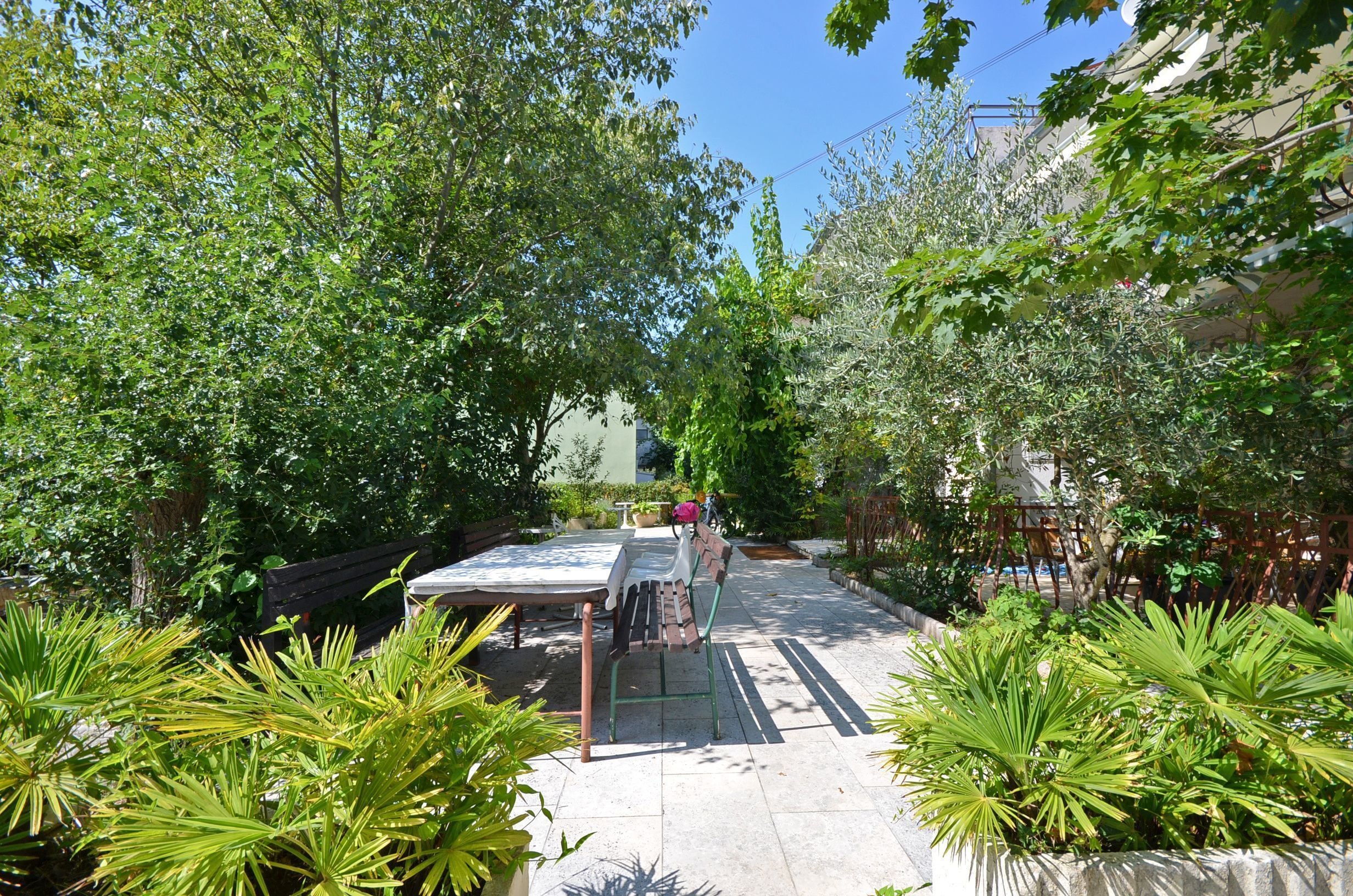 A courtyard with a bench, surrounded by lush greenery and trees.