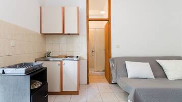 A compact room with a kitchenette, a bed with pillows, and a shower area.