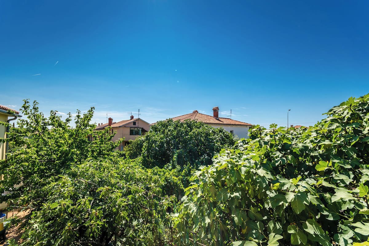 A residential area with houses, lush greenery, and a clear blue sky.