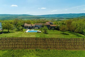 A vineyard with rows of grapevines, a swimming pool, and a house with a red roof. - House Dorino (Lanisce Krsan)