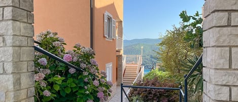 สนามรอบบริเวณ