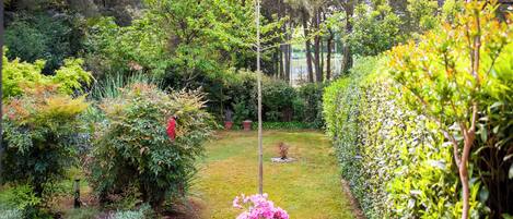 A lush garden with various plants and a central pathway.