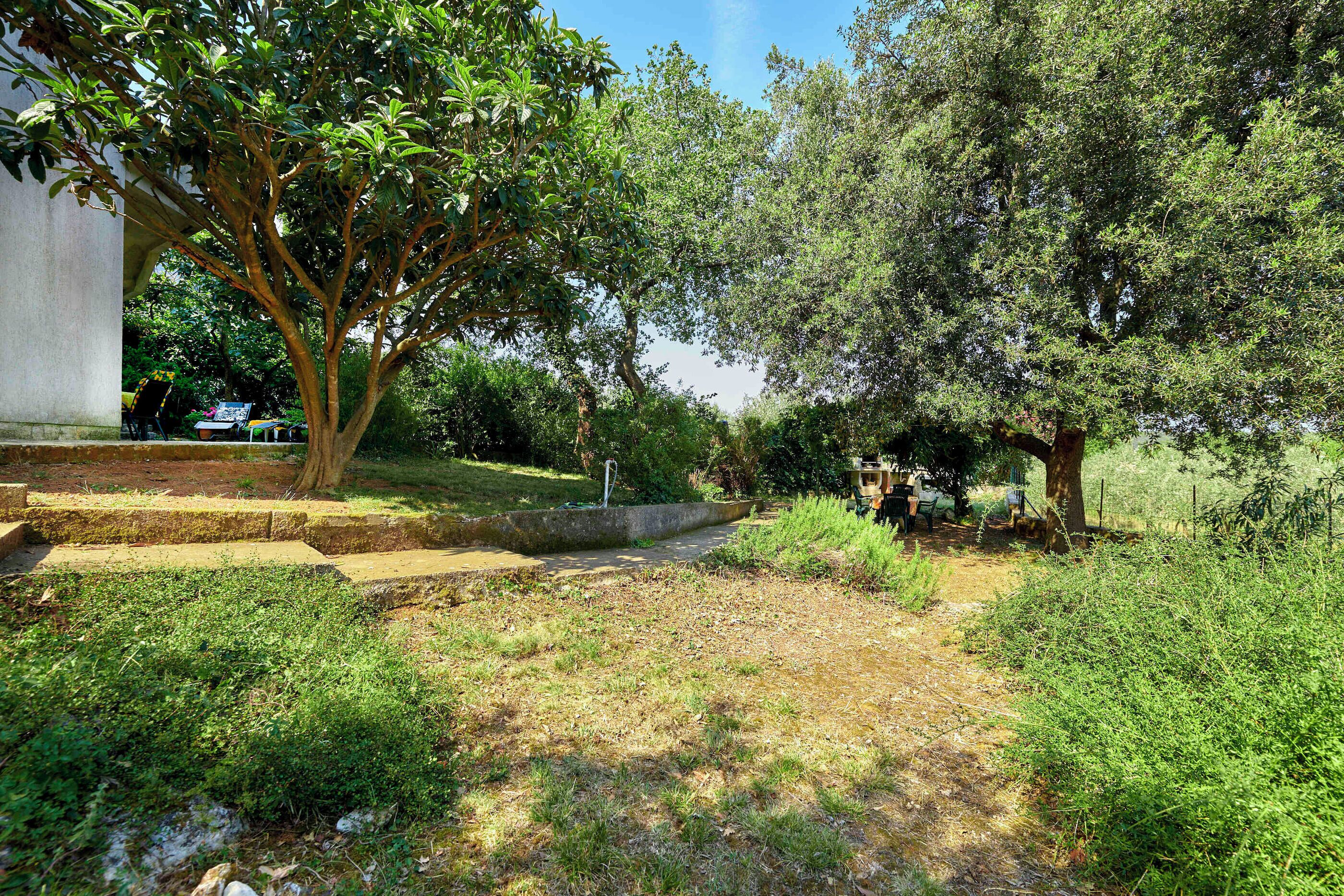 A pathway leading through a garden with trees and a concrete structure in the background.