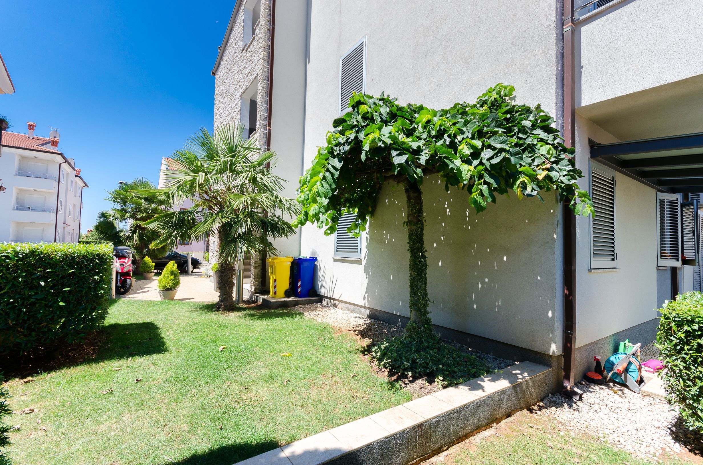 A residential building with a small garden, a palm tree, and a wall covered in ivy.