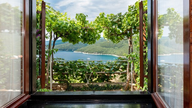 A view through a window with a vineyard and a lake. - Apartments Mandica (Rabac)