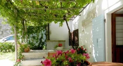 House Elena
