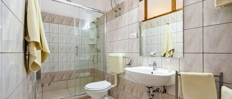 A modern bathroom with a glass-enclosed shower, a toilet, a sink, and a mirror.