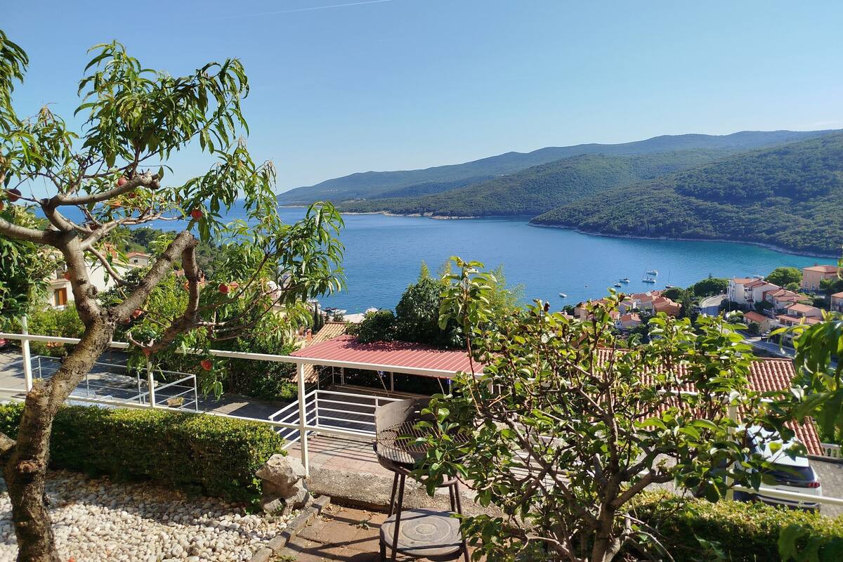 A coastal view with a clear sky, a tree-lined terrace, and a distant view of a bay with boats.